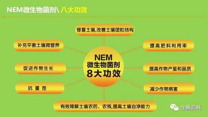 龙腾高科_NEM_菌剂功效